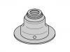 Dichtring, Ventilschaft Valve Stem Seal:06 42 501