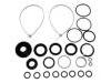 Juego de juntas, bomba hidráulica Steering Gasket Set:251 498 020